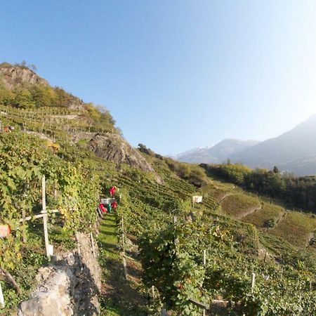 Winebnb 松德里奥 外观 照片