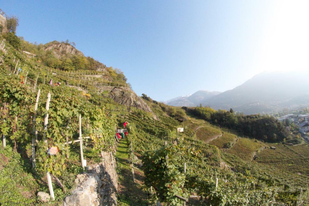 Winebnb 松德里奥 外观 照片